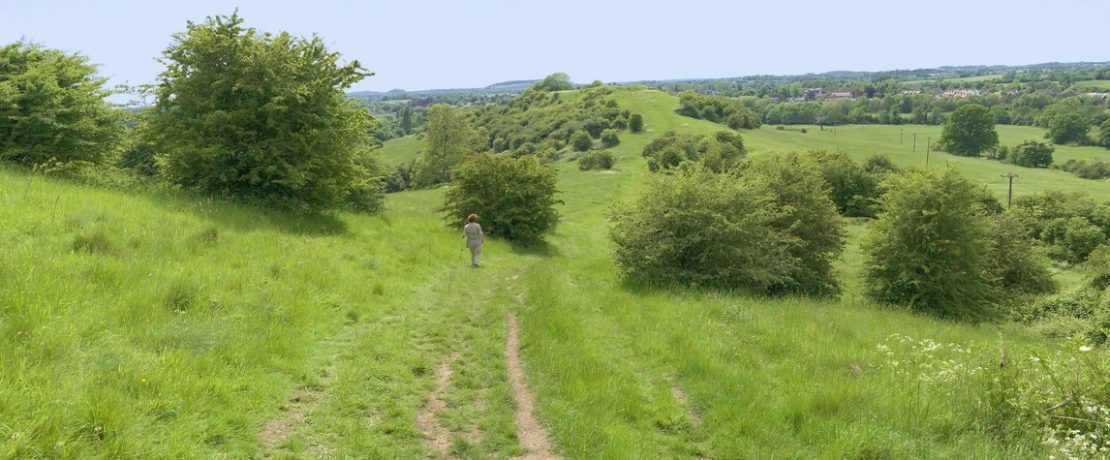 Walking walking in the countryside