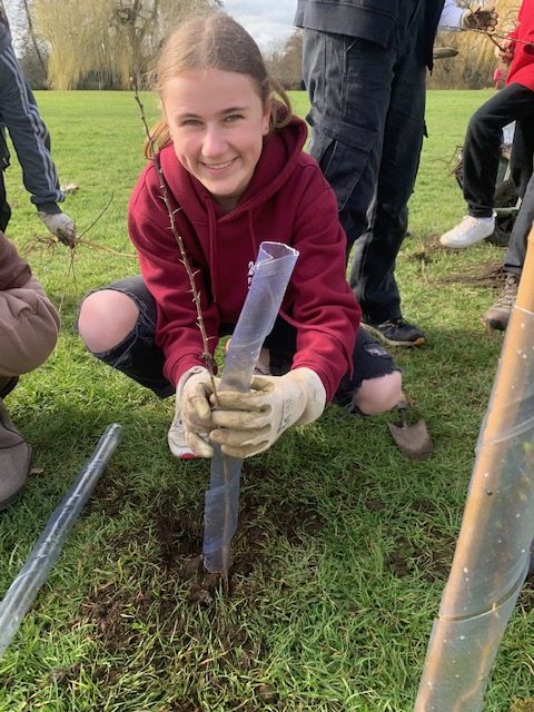 Community Hedge Fund: Burgate School & Fordingbridge Town Council ...