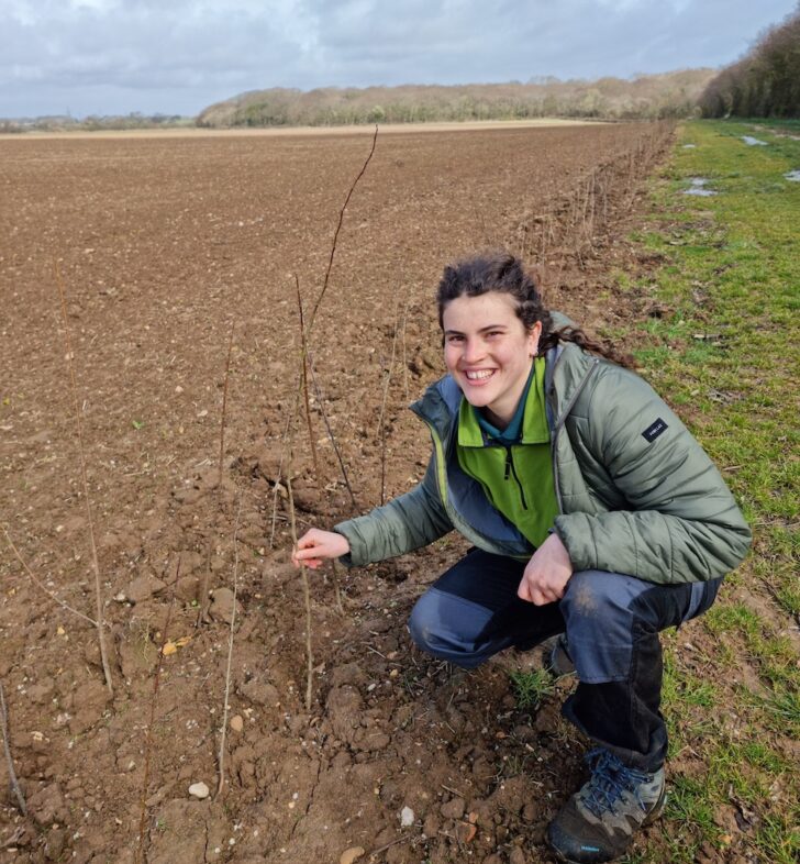 Hedgerows - CPRE Hampshire